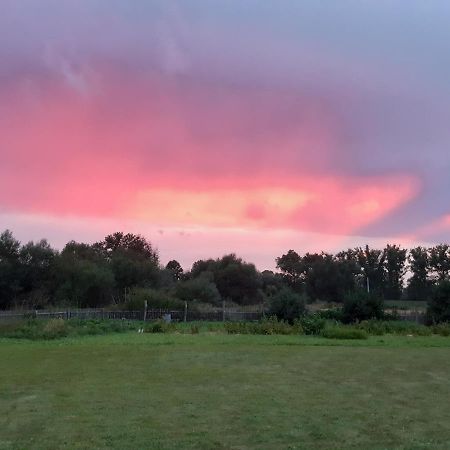 Agroturystyka Tam Gdzie Sosny Ścinawka Dolna Exteriör bild