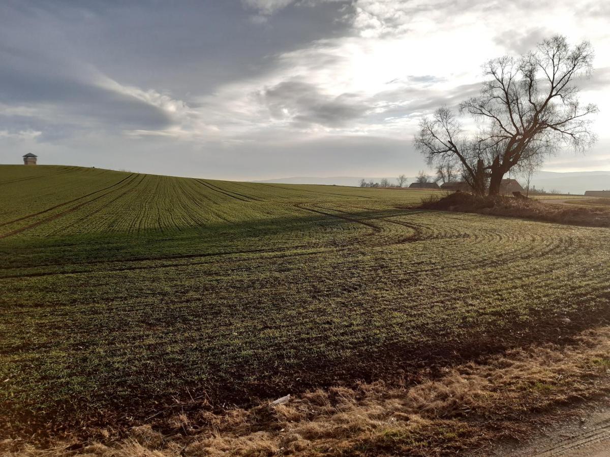 Agroturystyka Tam Gdzie Sosny Ścinawka Dolna Exteriör bild