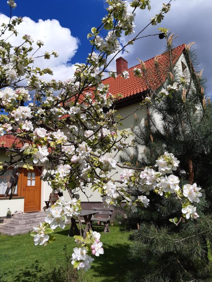 Agroturystyka Tam Gdzie Sosny Ścinawka Dolna Exteriör bild