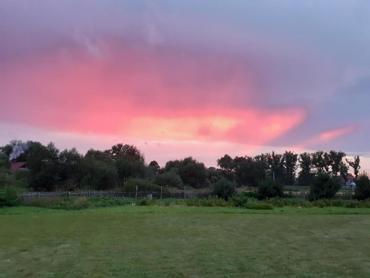 Agroturystyka Tam Gdzie Sosny Ścinawka Dolna Exteriör bild